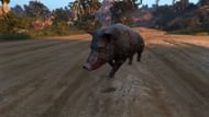 Possessed Animal (Image via Rockstar Games || GTA Wiki/ChiefMokum)